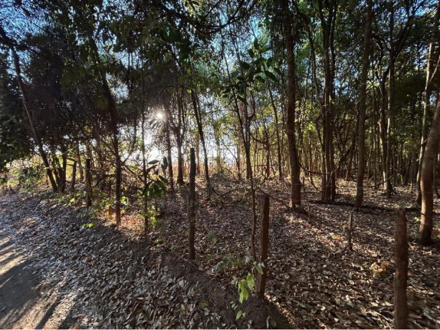 Imagem 8 do Leilão de Terreno - Sítios de Recreio São Geraldo - Goiânia/GO