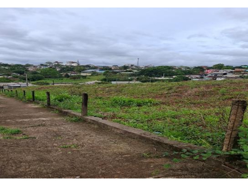 Imagem 6 do Leilão de Terreno - Vista Alegre - Palmeira das Missões/RS