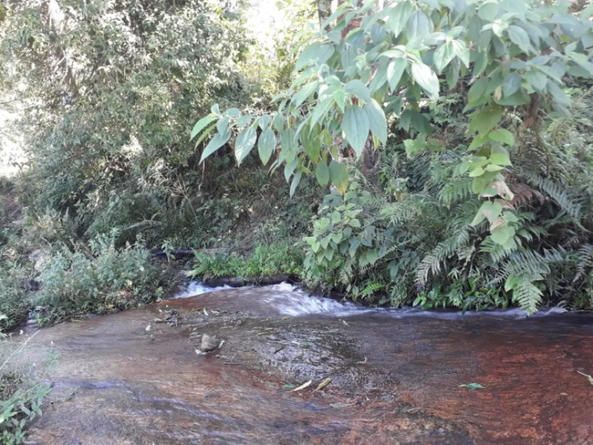 Imagem 2 do Leilão de Fazenda - Luminosa - Brazópolis/MG