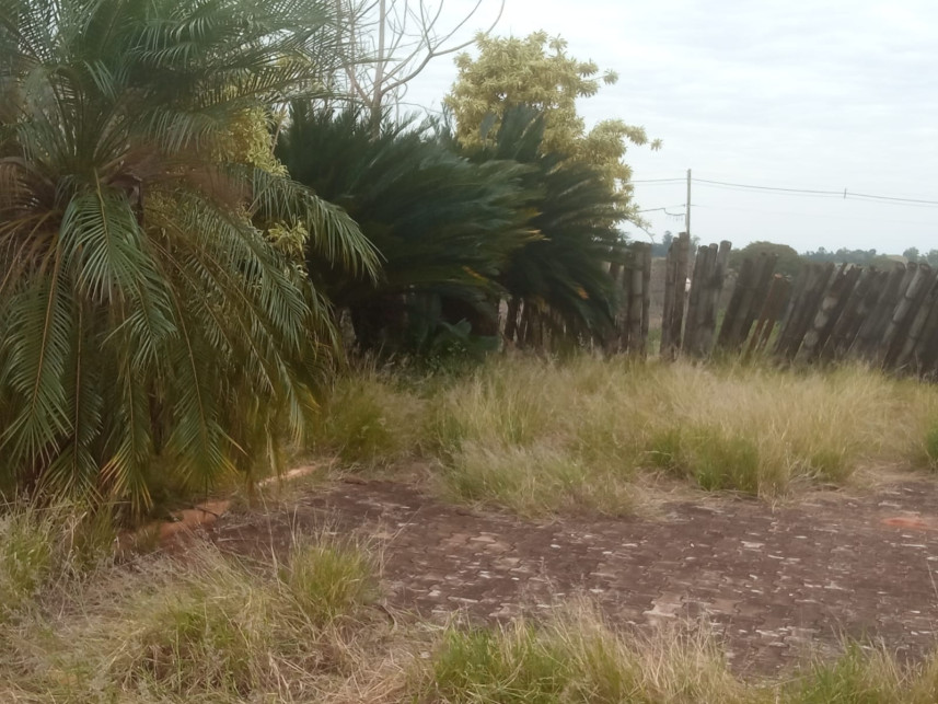 Imagem 9 do Leilão de Terreno - Condominio Parque Residencial Viva - Pérola/PR
