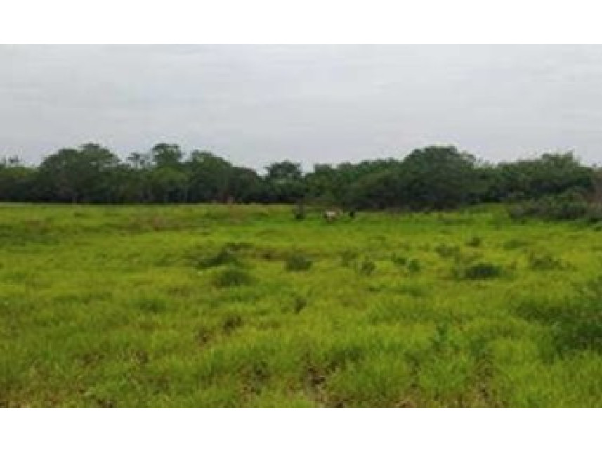 Imagem 6 do Imóvel a venda - Terreno - Parque Residencial Alvorada - Caçapava/SP
