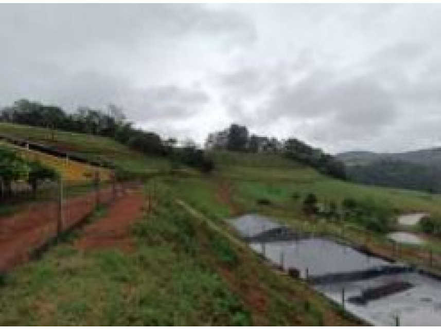 Imagem 8 do Leilão de Área Rural - Colônia Nova Santa Cruz - Itá/SC