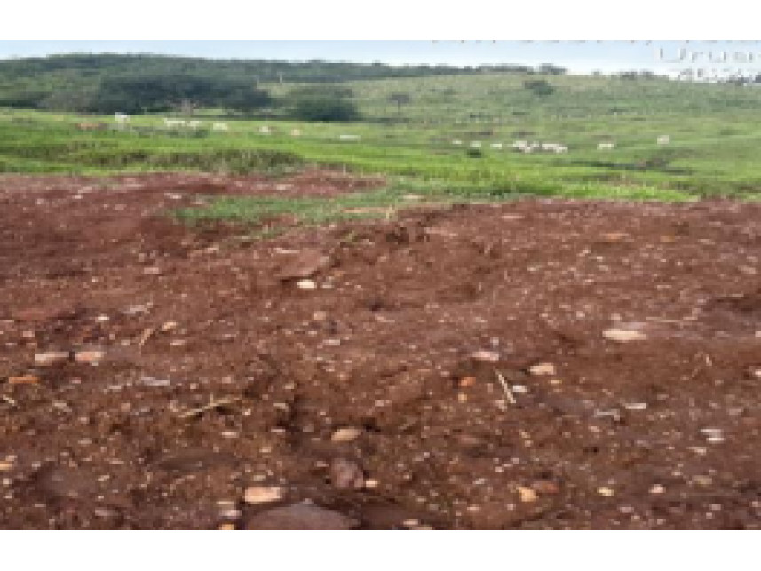 Imagem 2 do Leilão de Outros - Zona Rural - Hidrolina/GO