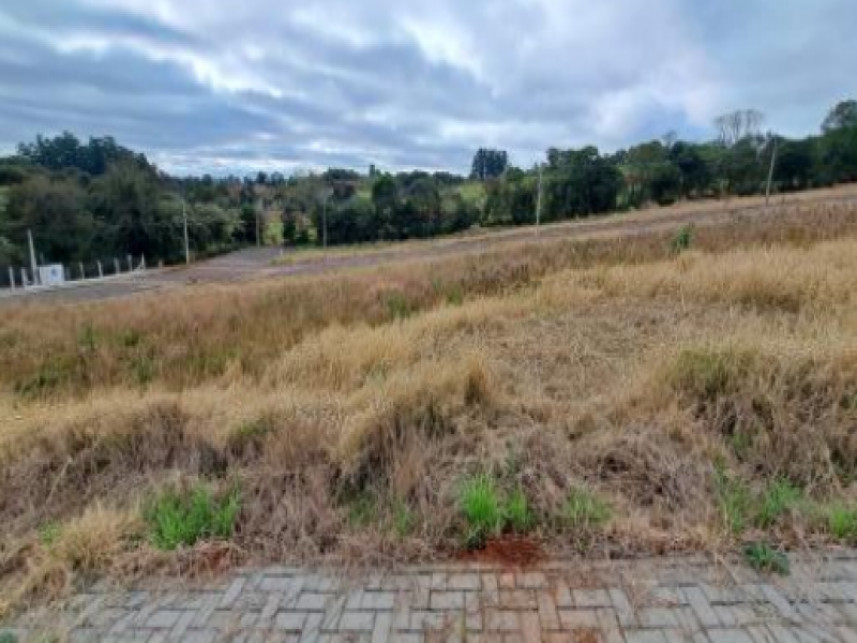 Imagem 3 do Leilão de Terreno - Industrial - Chapecó/SC