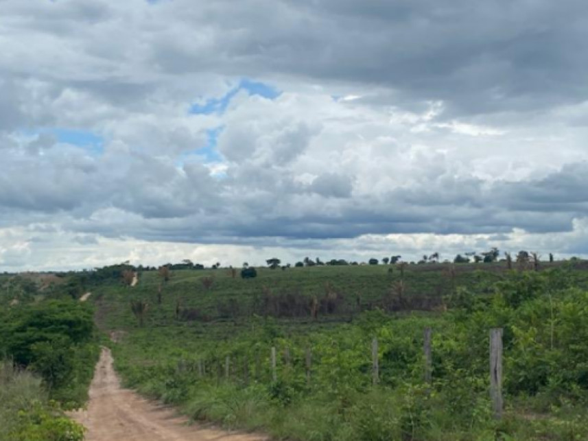 Imagem 14 do Leilão de Fazenda - Zona rural - Vila Nova dos Martírios/MA