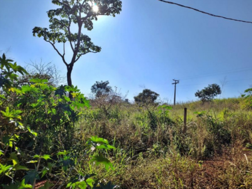 Imagem 7 do Leilão de Fazenda - Rural - Luz/MG