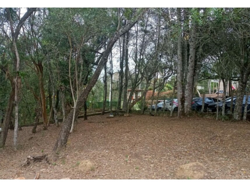 Imagem 6 do Leilão de Terreno - Bairro do Carmo - São Roque/SP
