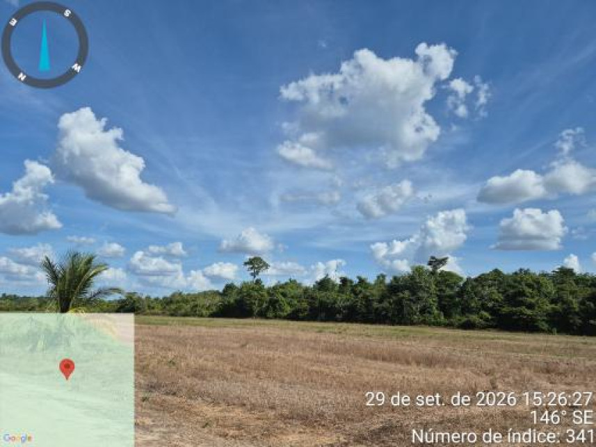 Imagem 24 do Leilão de Área Rural - Interior - Tailândia/PA