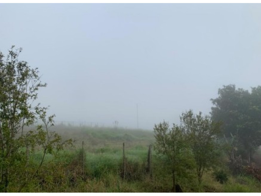 Imagem 11 do Leilão de Área Rural - Distrito de Volta Grande - Alpestre/RS
