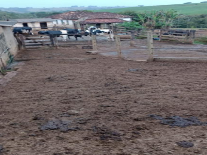 Imagem 5 do Leilão de Fazenda - Limoeiro - Luz/MG