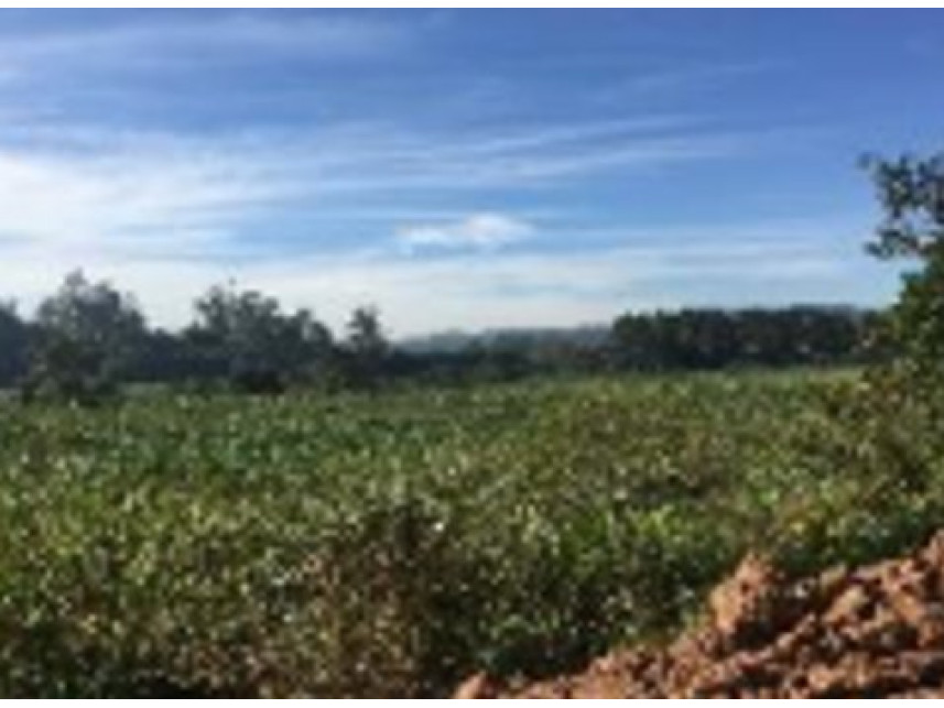 Imagem 5 do Imóvel a venda - Terreno - Graça - Cotia/SP