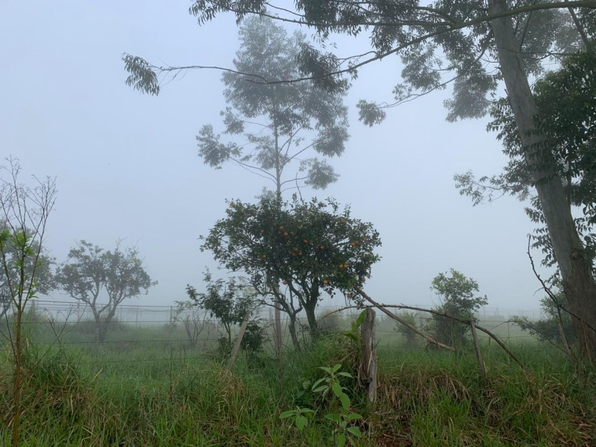 Imagem 7 do Leilão de Área Rural - Distrito de Volta Grande - Alpestre/RS