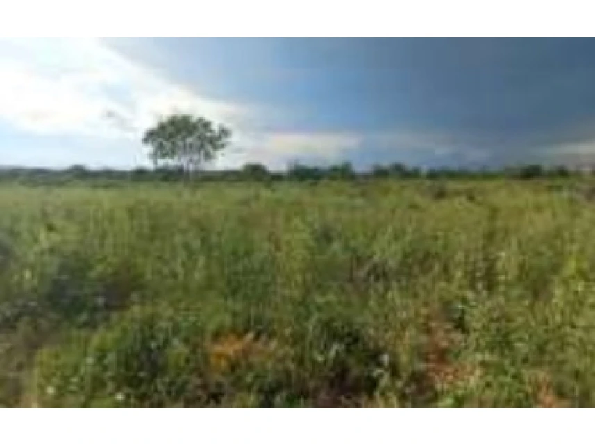 Terreno em leilão em Ribeirao Cascalheira/MT a partir de R$ 171.500 | Lance Rápido