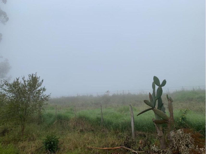 Imagem 15 do Leilão de Área Rural - Distrito de Volta Grande - Alpestre/RS