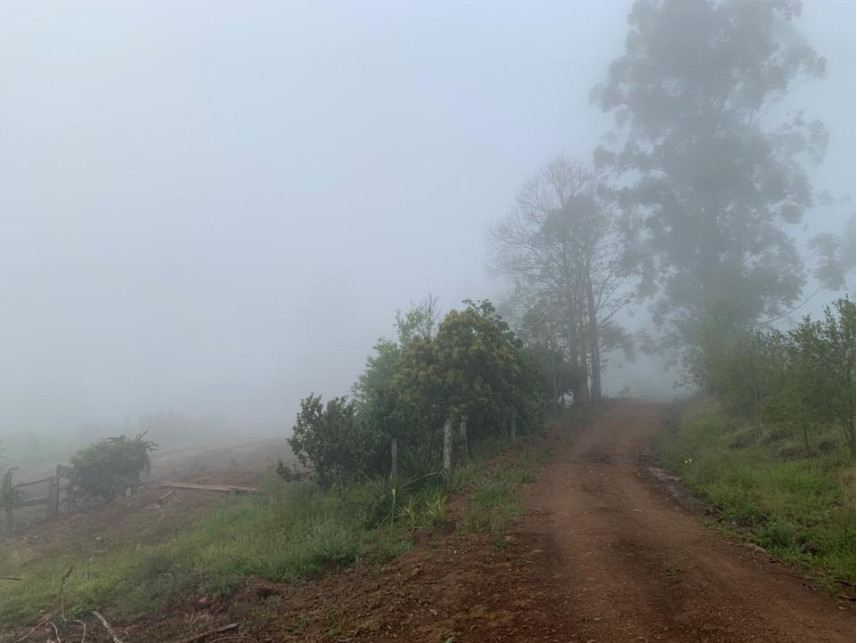 Imagem 16 do Leilão de Área Rural - Distrito de Volta Grande - Alpestre/RS