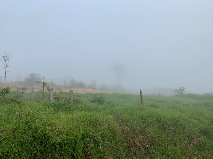 Imagem 4 do Leilão de Área Rural - Distrito de Volta Grande - Alpestre/RS