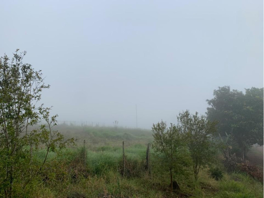 Imagem 14 do Leilão de Área Rural - Distrito de Volta Grande - Alpestre/RS