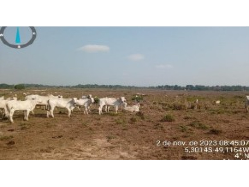 Imagem 4 do Leilão de Terreno - Zona Rural - Marabá/PA