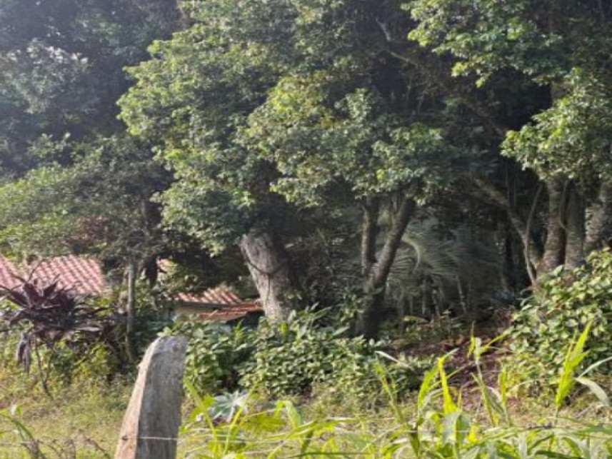 Imagem 10 do Leilão de Chácara - Interior - Igrejinha/RS
