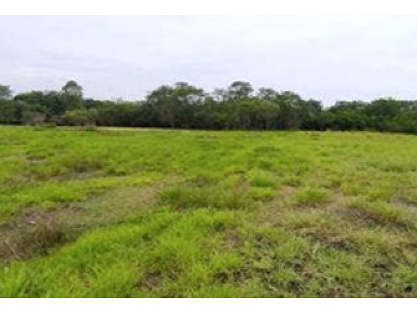 Imagem 4 do Imóvel a venda - Terreno - Parque Residencial Alvorada - Caçapava/SP