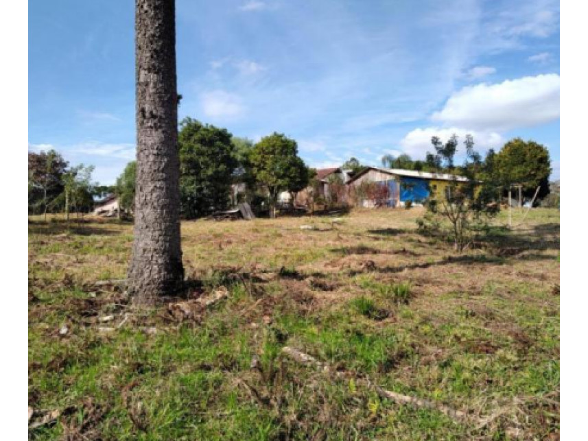 Imagem 11 do Leilão de Casa - Sítio dos Rauen - Rio Negro/PR