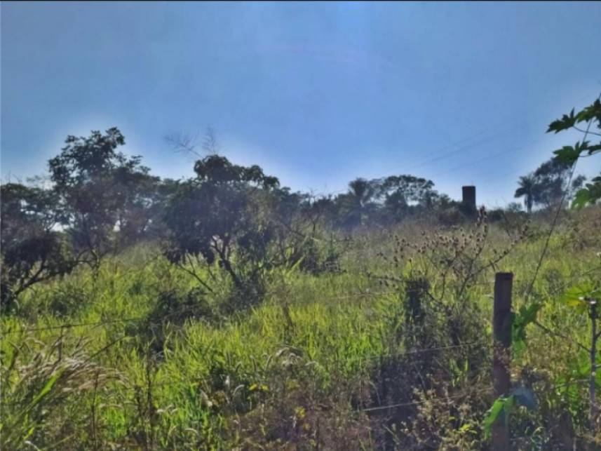 Imagem 6 do Leilão de Fazenda - Rural - Luz/MG
