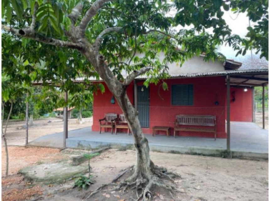 Imagem 11 do Leilão de Fazenda - Fazenda Santa Fé - Zona rural - Vila Nova dos Martírios/MA