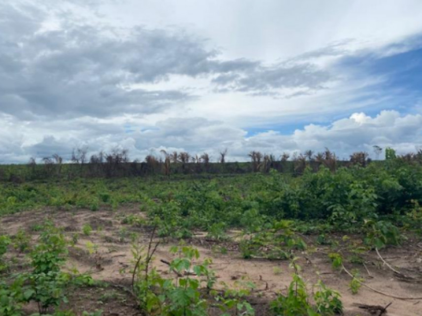 Imagem 10 do Leilão de Fazenda - Zona rural - Vila Nova dos Martírios/MA