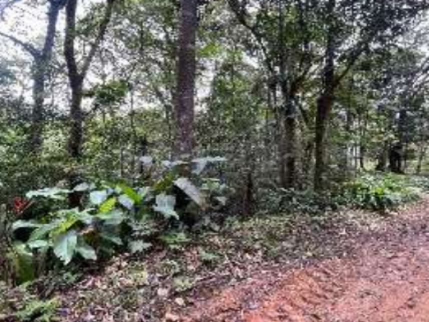 Imagem 6 do Leilão de Terreno - Progresso - Blumenau/SC