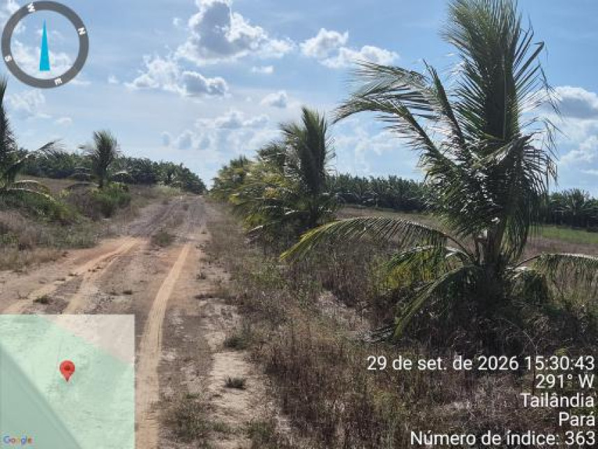 Imagem 12 do Leilão de Área Rural - Interior - Tailândia/PA