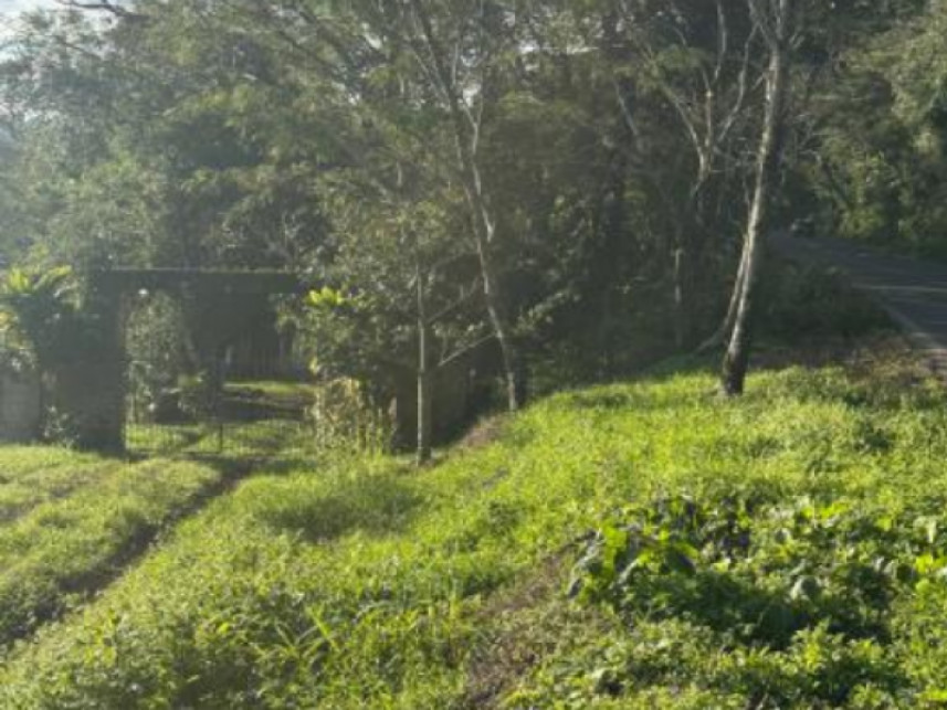 Imagem 6 do Leilão de Chácara - Interior - Igrejinha/RS