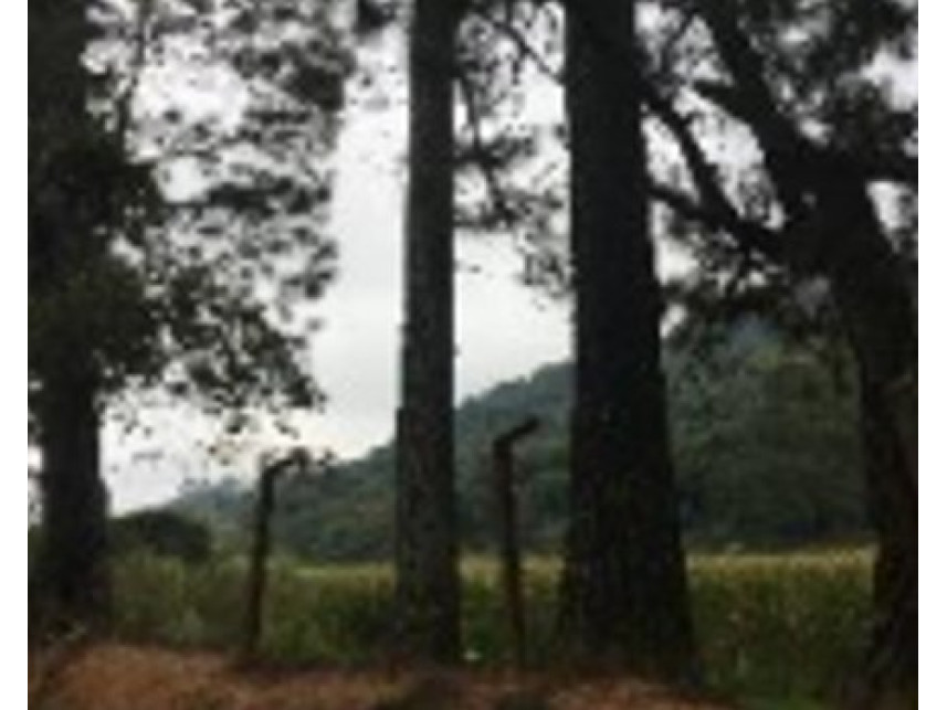 Imagem 5 do Imóvel a venda - Terreno - Altos - Barueri/SP