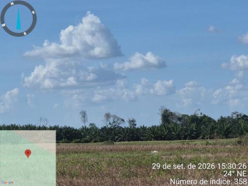 Imagem 14 do Leilão de Área Rural - Interior - Tailândia/PA