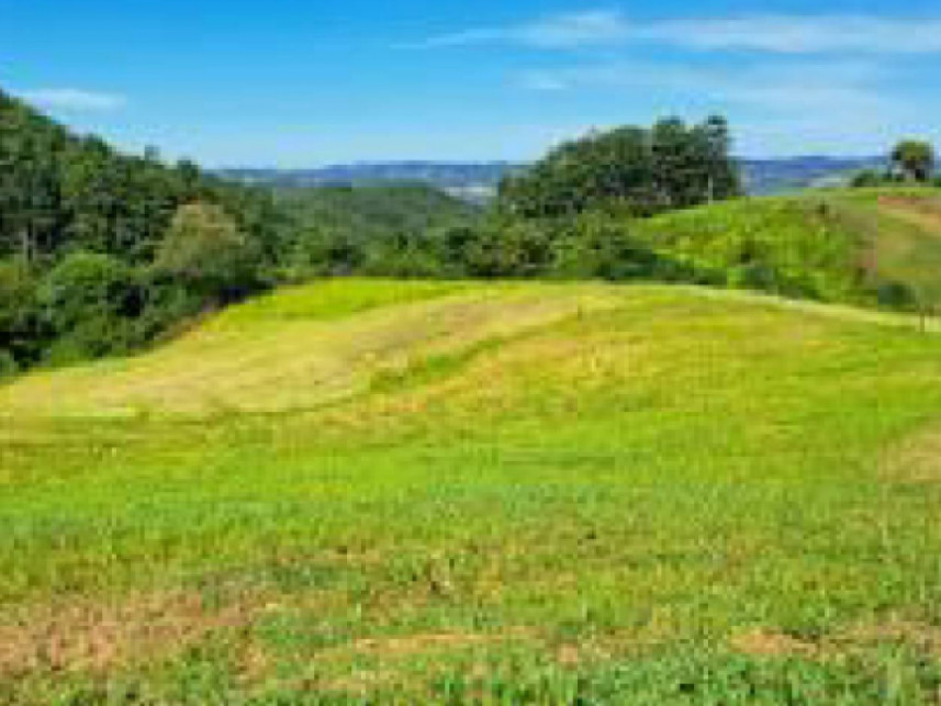 Imagem 3 do Leilão de Área Rural - Interior - União do Oeste/SC