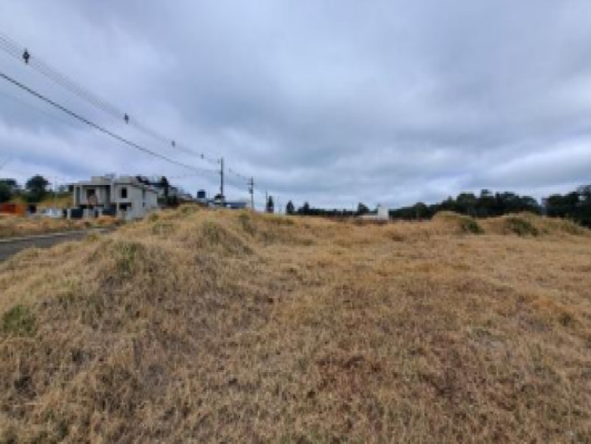 Imagem 3 do Leilão de Terreno - Industrial - Chapecó/SC