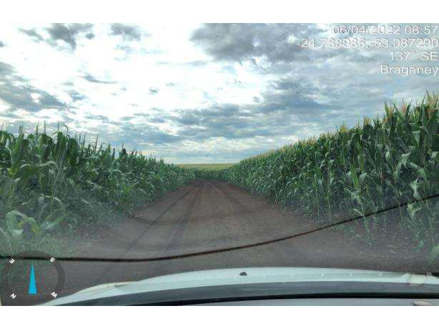 Imagem 10 do Leilão de Área Rural - Colônia A - Cascavel - Braganey/PR