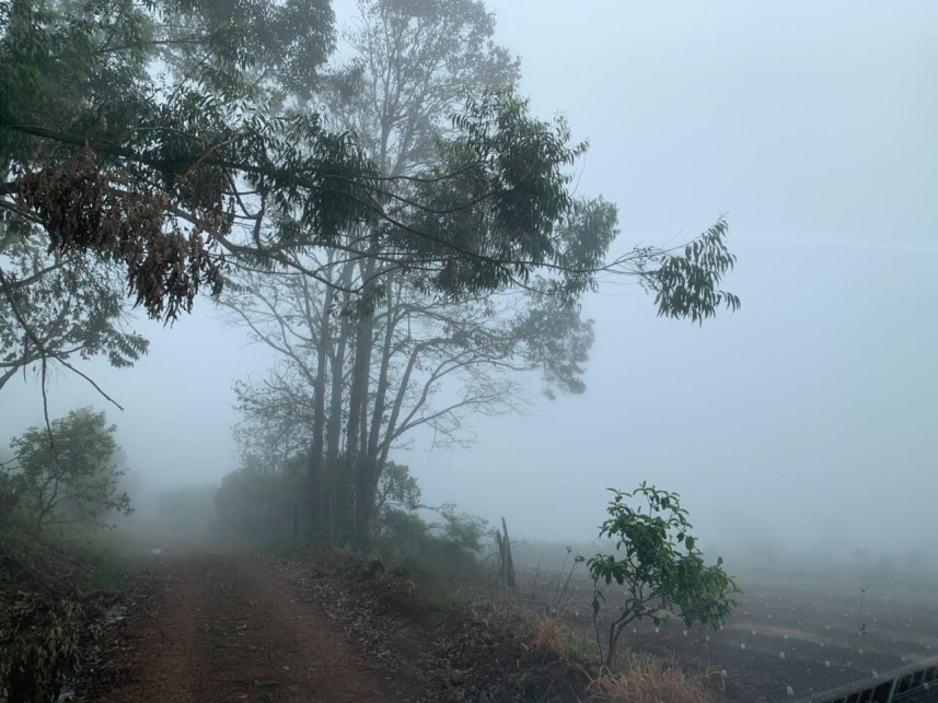 Imagem 6 do Leilão de Área Rural - Distrito de Volta Grande - Alpestre/RS