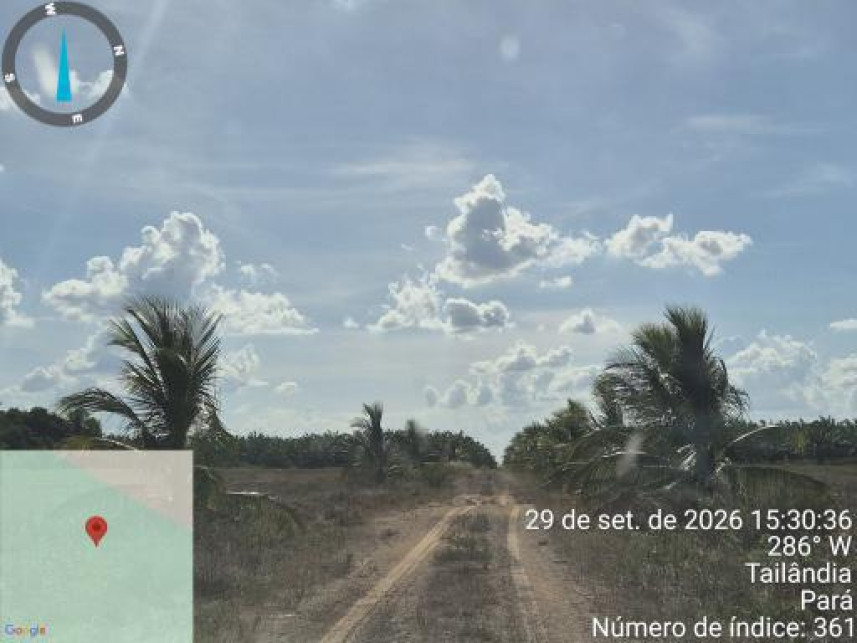 Imagem 10 do Leilão de Área Rural - Interior - Tailândia/PA