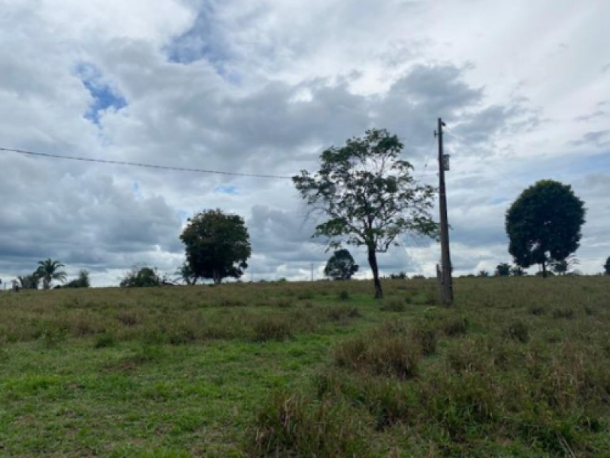 Imagem 9 do Leilão de Fazenda - Fazenda Santa Fé - Zona rural - Vila Nova dos Martírios/MA