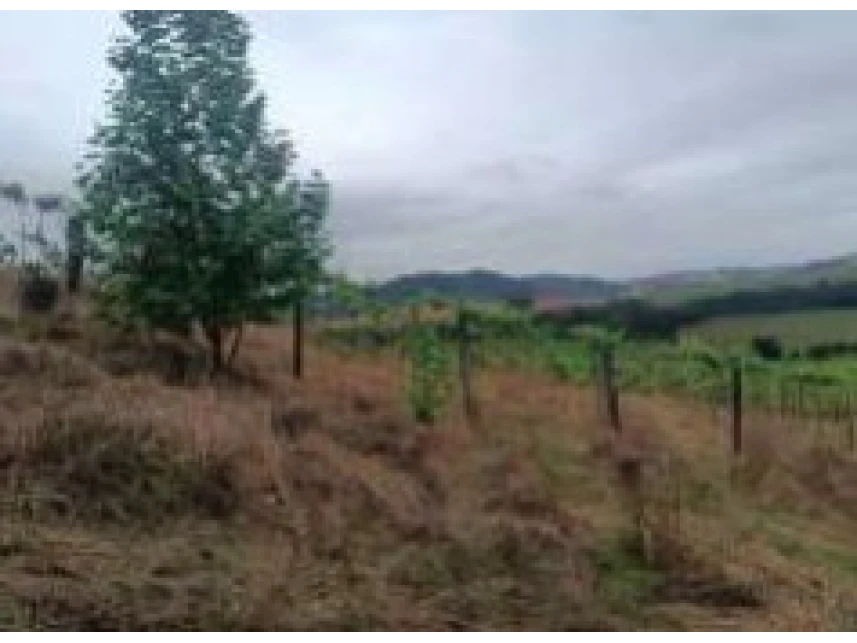 Terreno em leilão em Charrua/RS a partir de R$ 166.304 | Lance Rápido