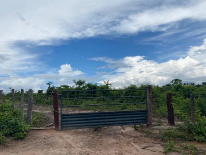 Imagem 5 do Leilão de Fazenda - Zona rural - Vila Nova dos Martírios/MA