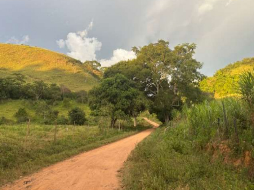Imagem 8 do Leilão de Fazenda - Zona Rural - Tombos/MG