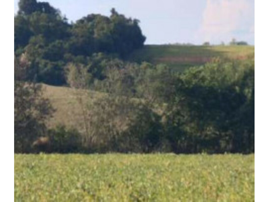Imagem 2 do Leilão de Terreno - Zona Rural - Itaporanga/SP