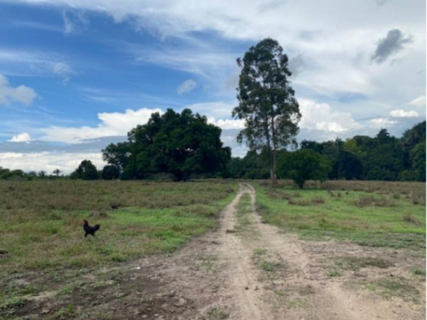Imagem 8 do Leilão de Fazenda - Fazenda Santa Fé - Zona rural - Vila Nova dos Martírios/MA