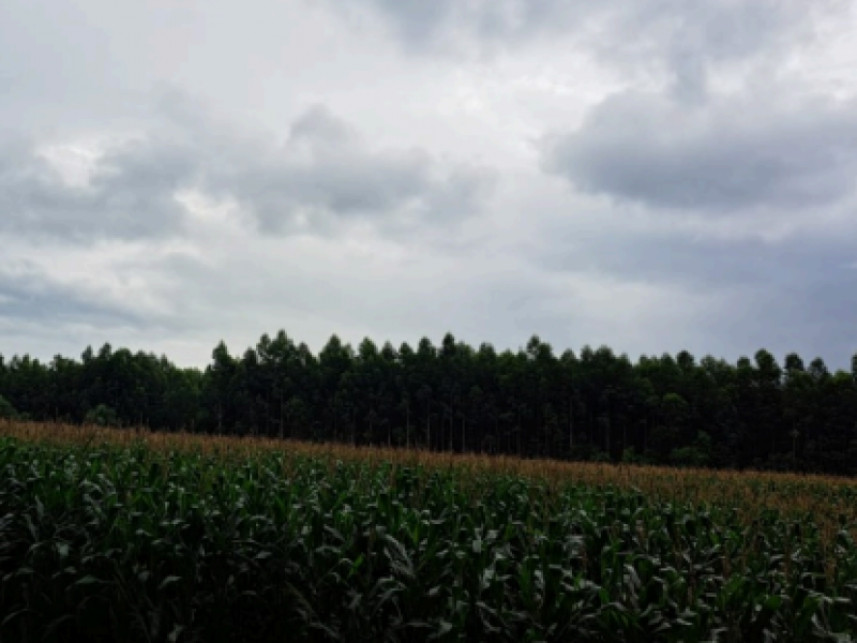 Imagem 3 do Leilão de Terreno - Distrito de Alto da Serra - Chapecó/SC