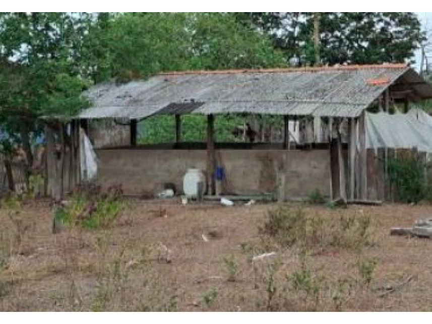 Imagem 14 do Leilão de Área Rural - Interior - São Pedro da Água Branca/MA