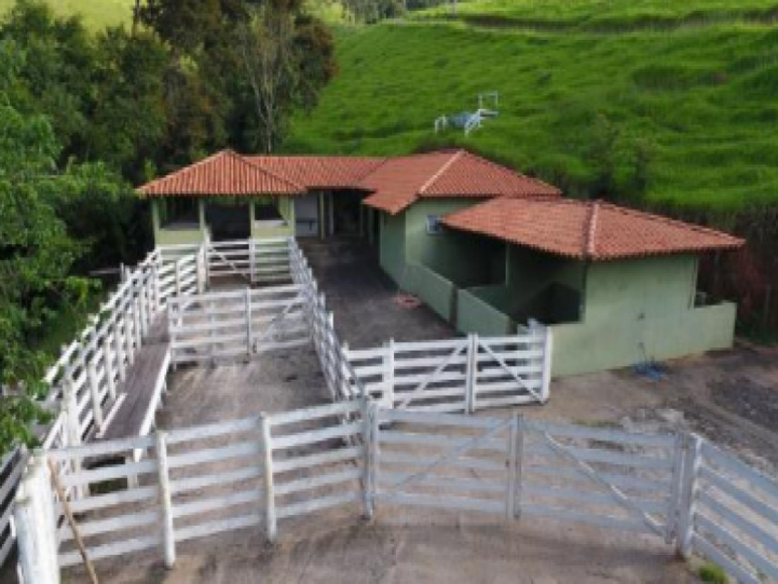 Imagem 4 do Leilão de Fazenda - Zona Rural - Capitólio/MG