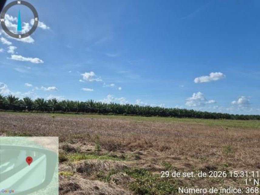 Imagem 5 do Leilão de Área Rural - Interior - Tailândia/PA
