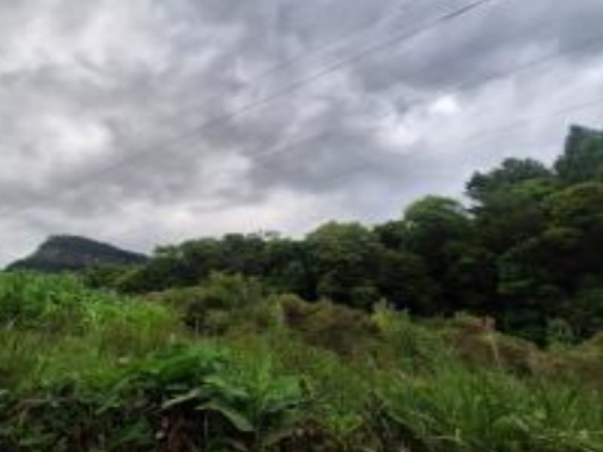 Imagem 4 do Leilão de Área Rural - Interior - Canela/RS