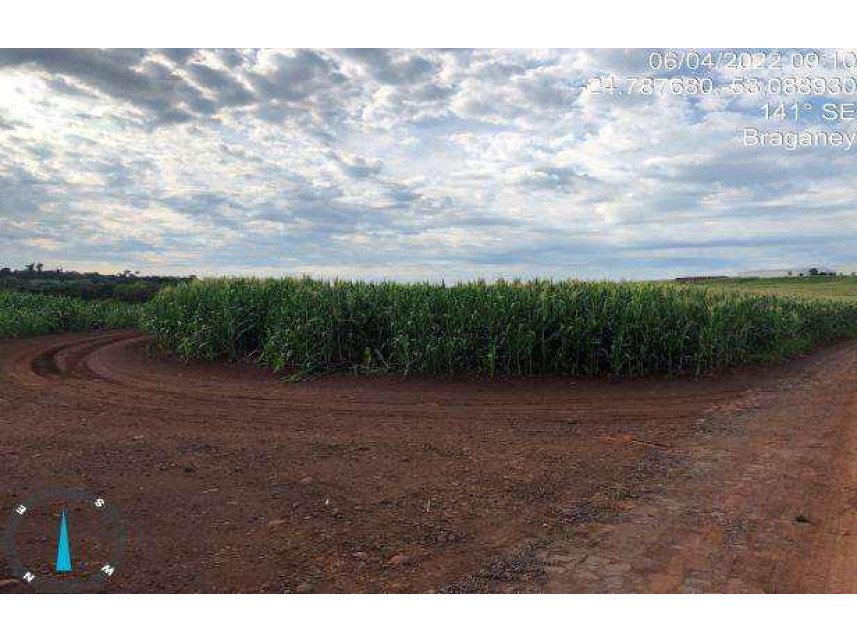 Imagem 22 do Leilão de Área Rural - Colônia A - Cascavel - Braganey/PR